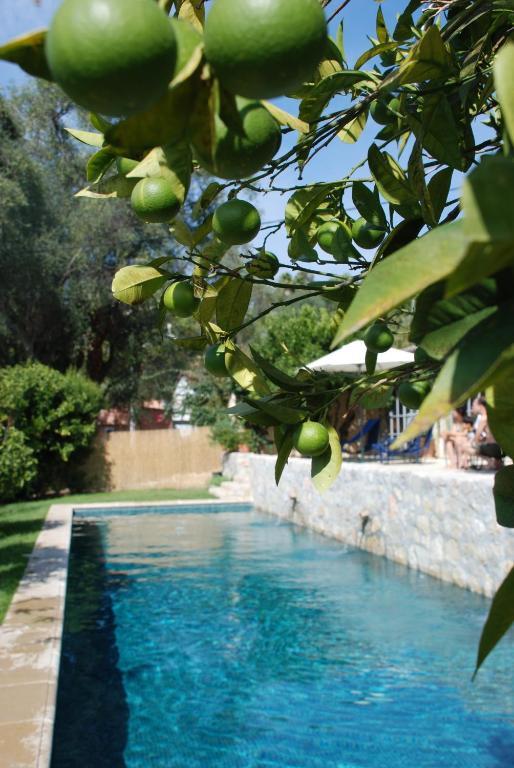 Les Orangers Saint-Paul-de-Vence